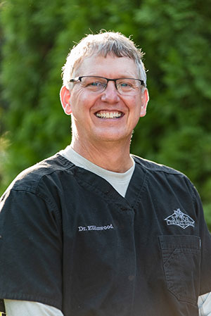 Dr. Steven Ellinwood, DDS